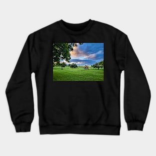 Dream Yard with Dramatic Sky Photography V1 Crewneck Sweatshirt